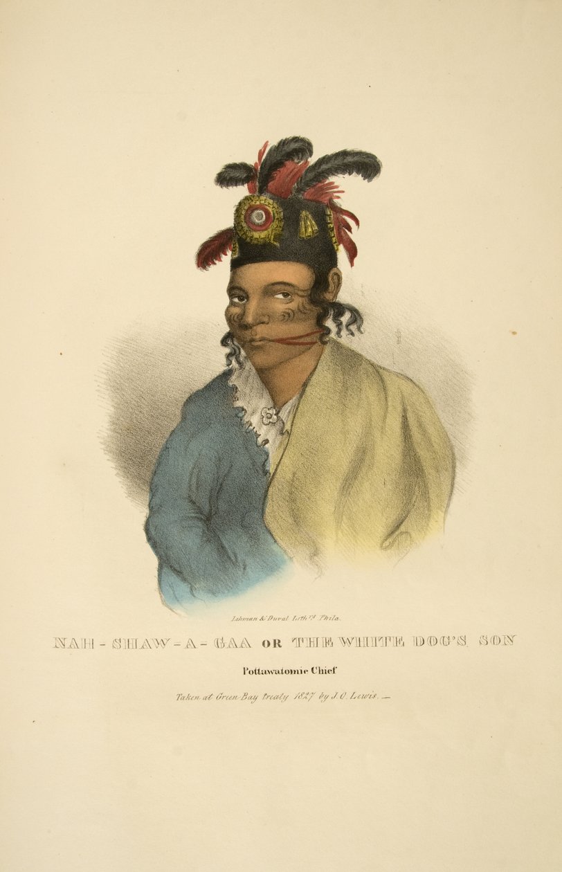 Nah-shaw-a-gaa of De Witte Hondenzoon door James Otto Lewis