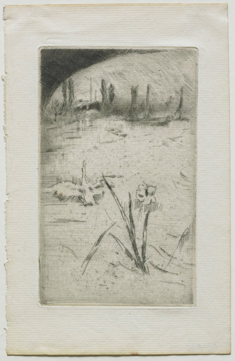 Zwaan en iris door James Abbott McNeill Whistler