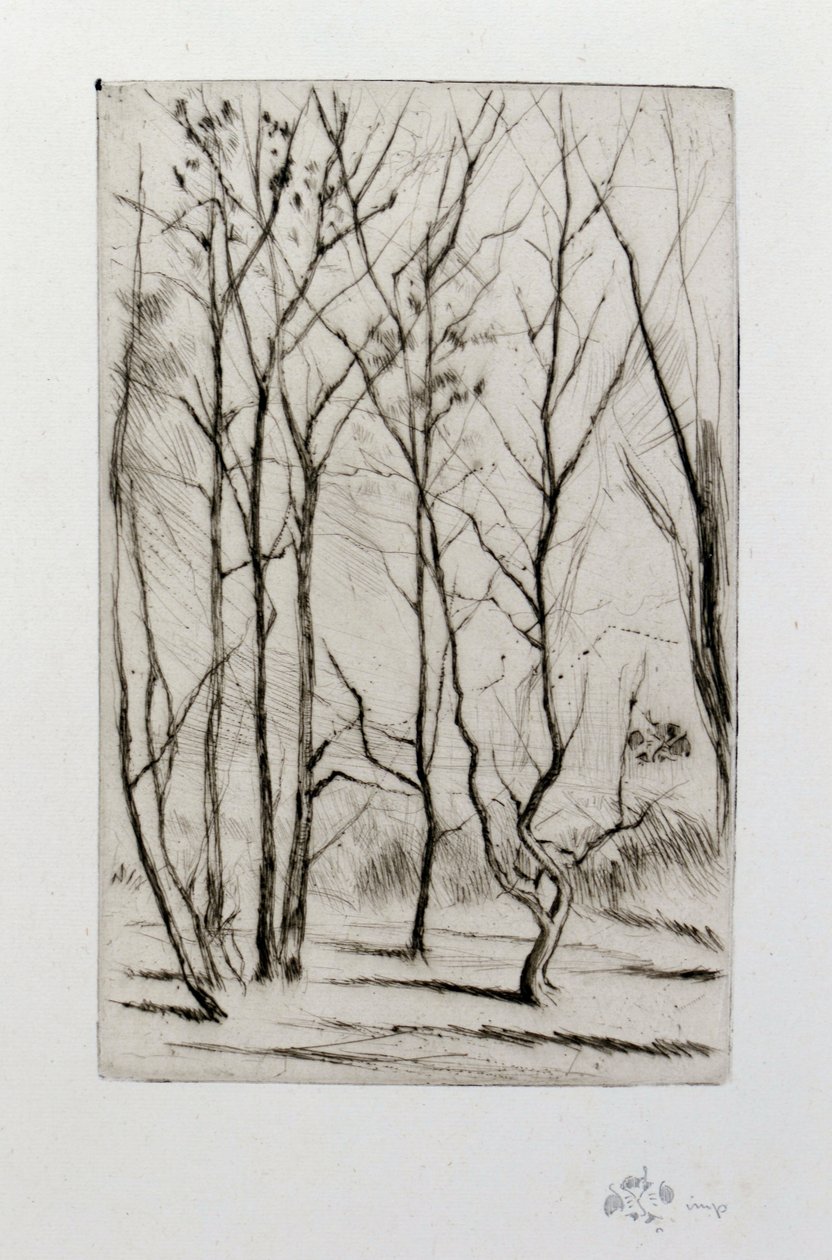 Het Damhout door James Abbott McNeill Whistler