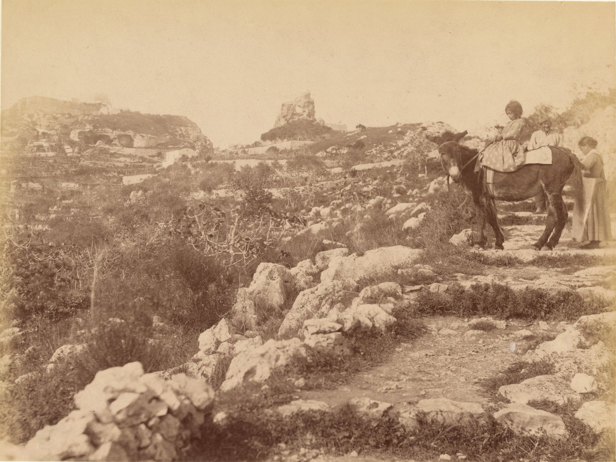 Capri [kind op muilezel] door James Anderson