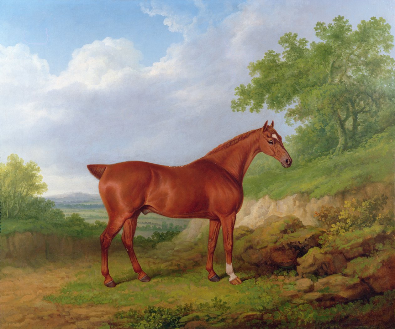 Kastanjebruine jager in een landschap door James Barenger