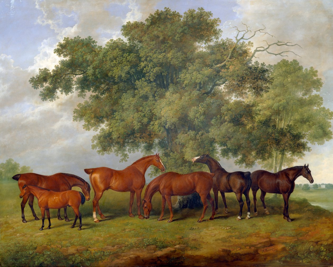 De Theobald Stud, 1825 door James Barenger