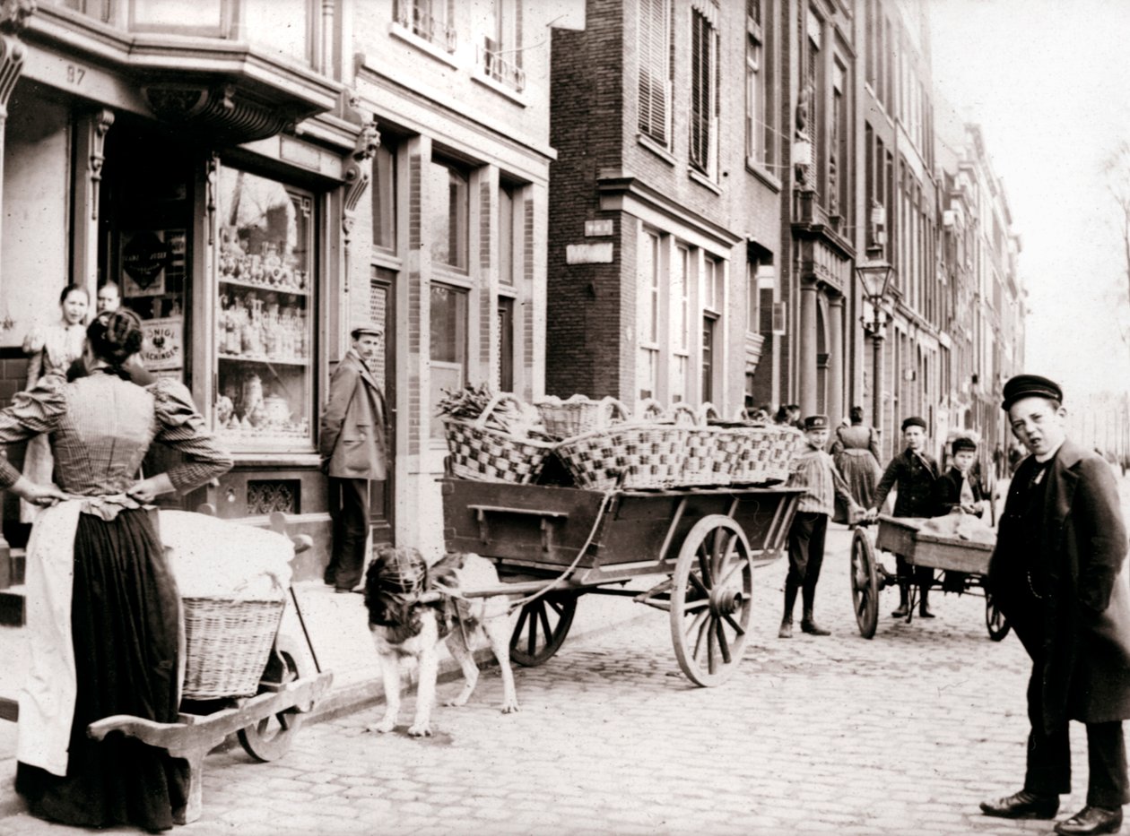 Hondenkar, Antwerpen, 1898 door James Batkin
