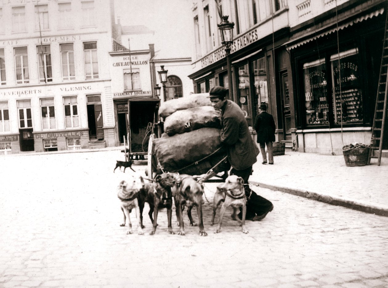 Man met hondenkar, Antwerpen, 1898 door James Batkin