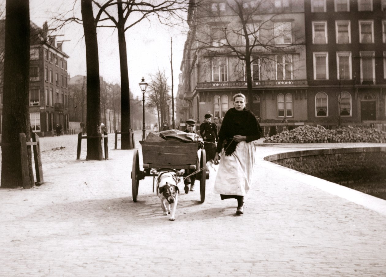 Vrouw met hondenkar, Rotterdam, 1898 door James Batkin