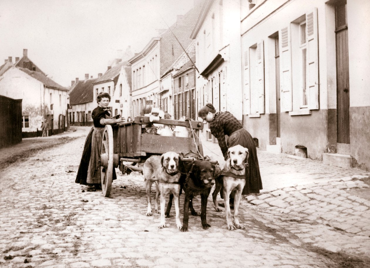 Vrouwen en hondenkar, Antwerpen, 1898 door James Batkin