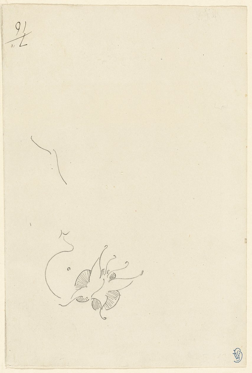 Vlinder door James Abbott McNeill Whistler