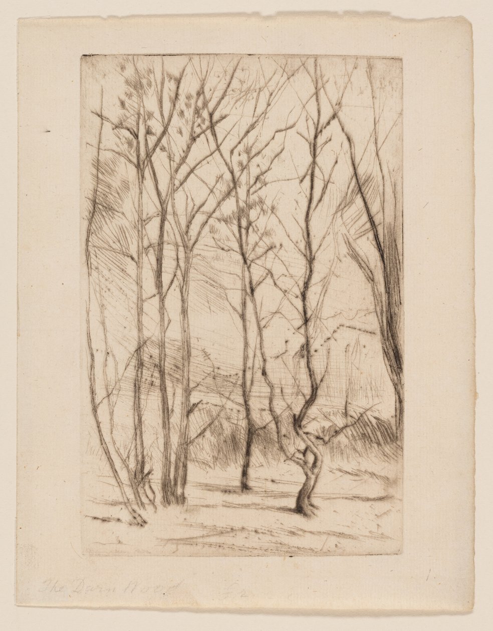 Het Damhout door James Abbott McNeill Whistler