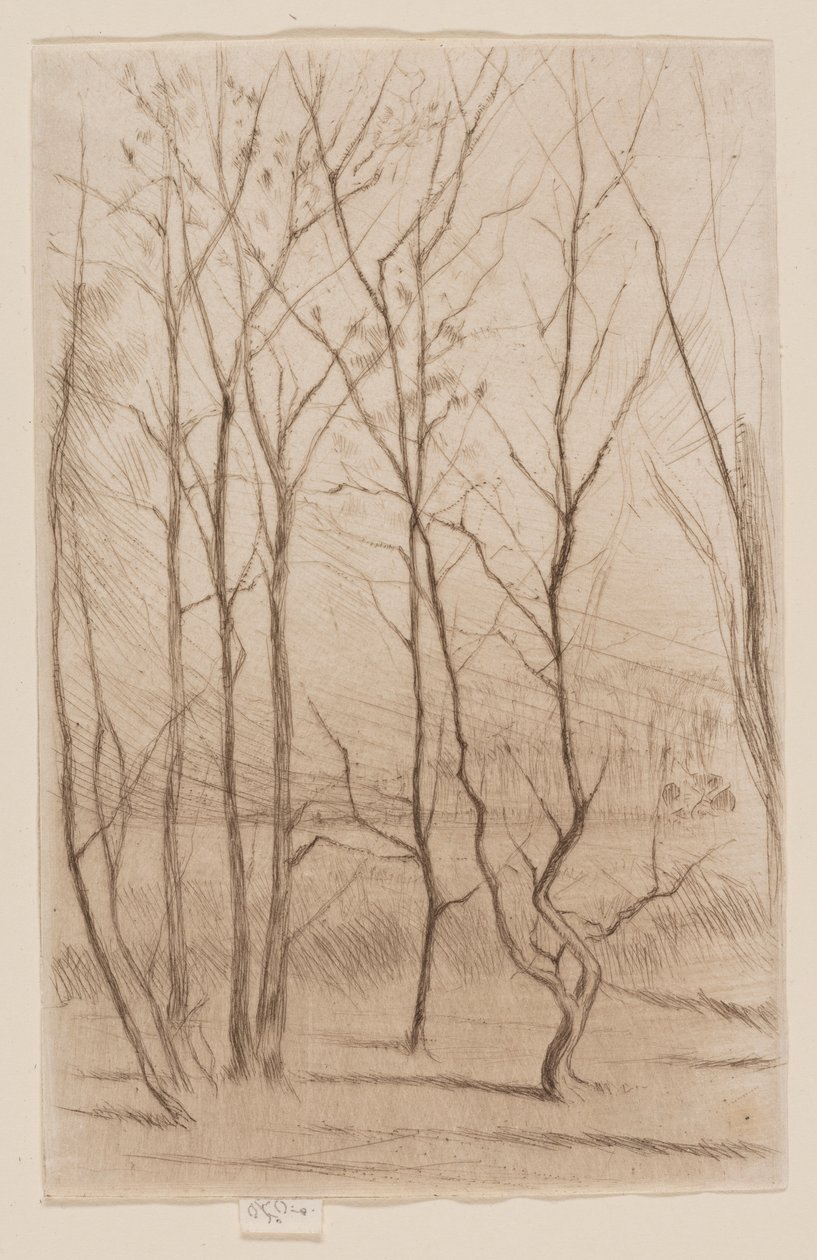 Het damhout door James Abbott McNeill Whistler
