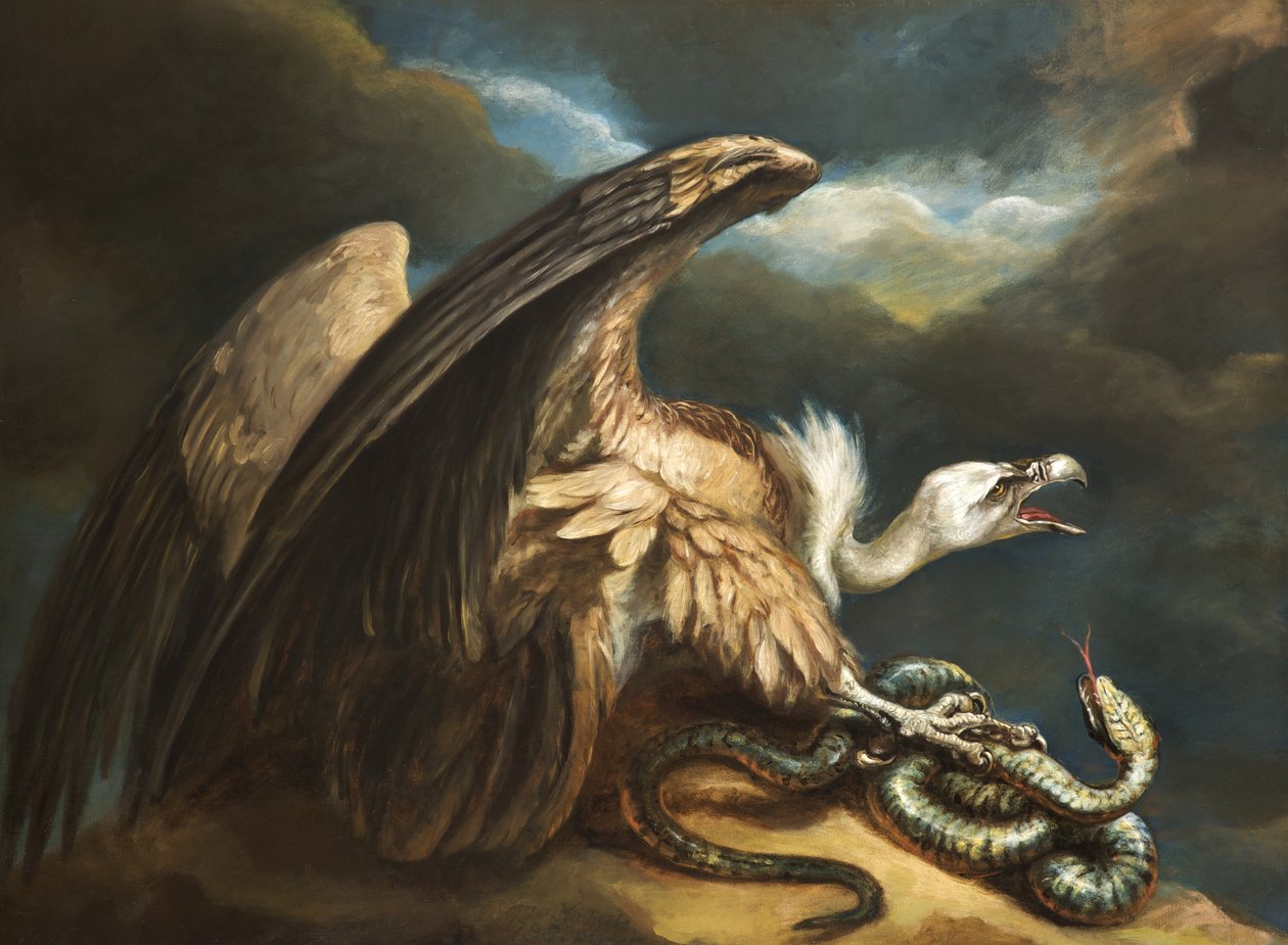 Gier en Slang door James Northcote