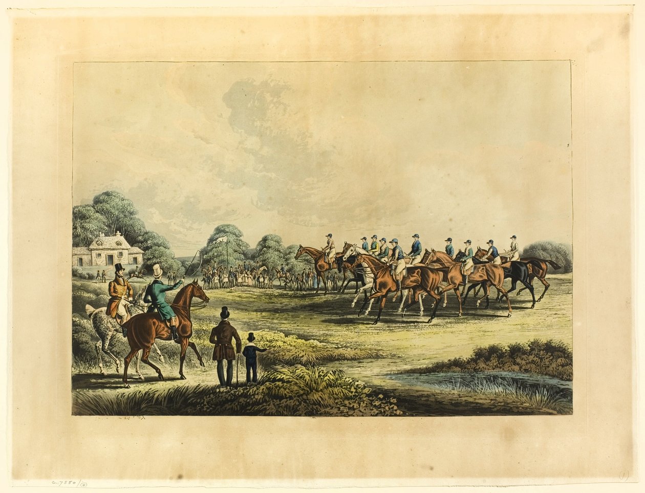 Saint Albans Grand Steeple Chase door James Pollard