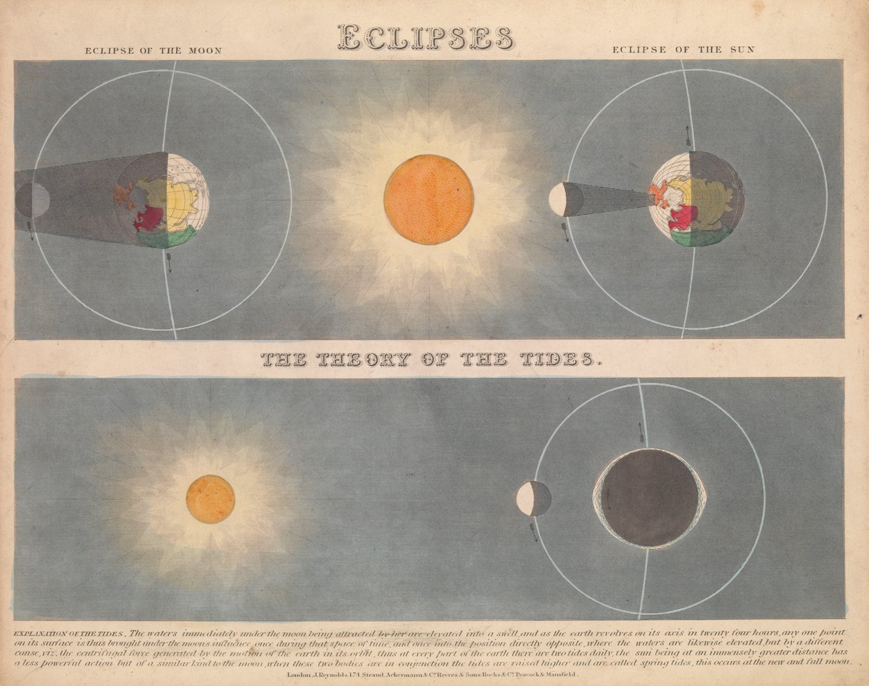 Eclipsen door James Reynolds