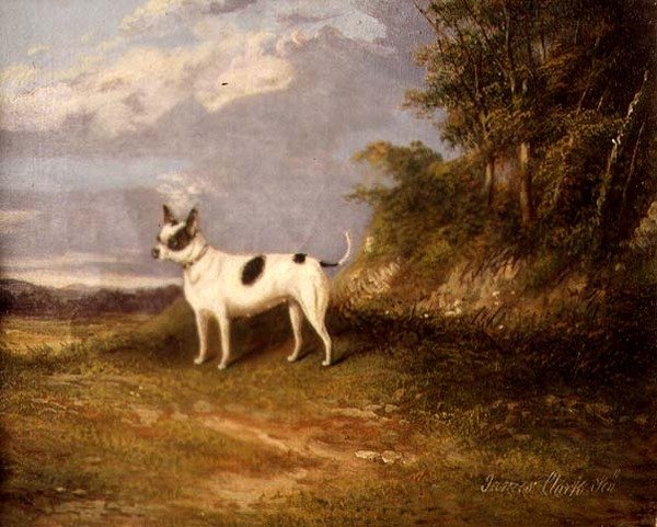 Een terriër in een landschap door James Senior Clark