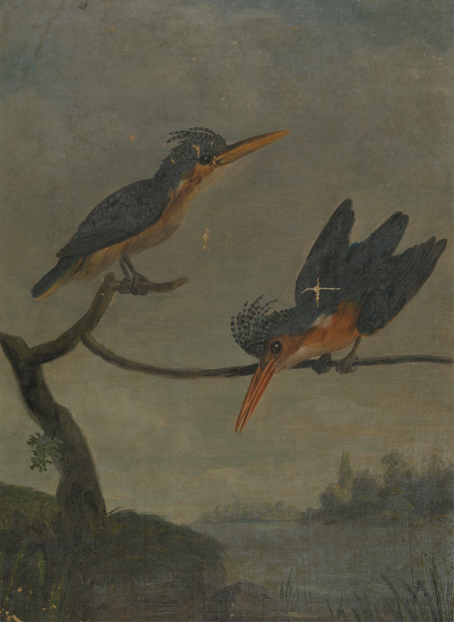 Twee ijsvogels naast een meer door James Sowerby