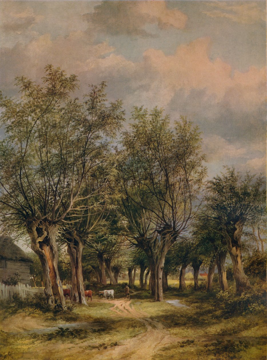 Een laan nabij Norwich, ca. 1837 door James Stark