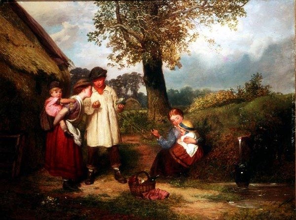 Het nest van de roodborst door James Waite
