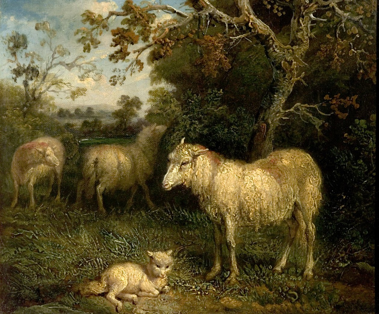 Landschap met Schapen door James Ward
