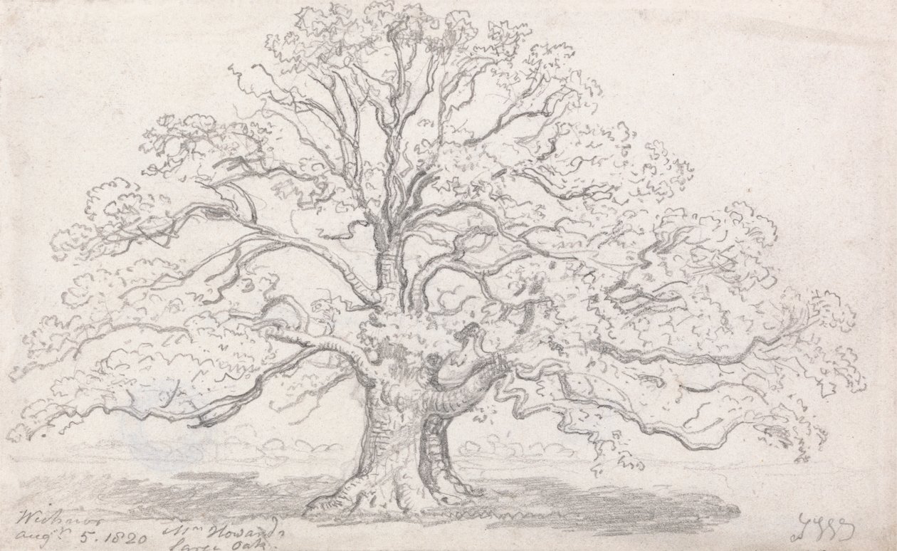 De grote eik van meneer Howard, 5 augustus 1820 door James Ward