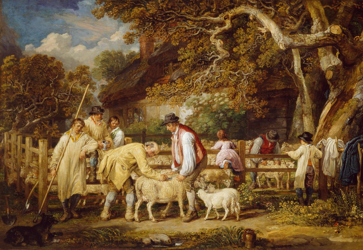 Schapen zalven, 1828 door James Ward