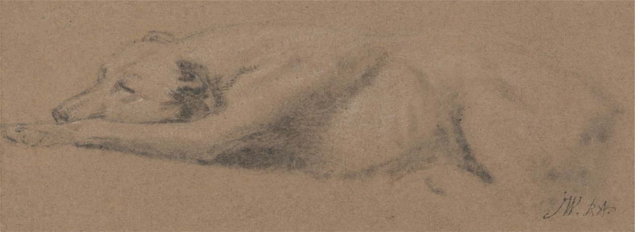 Studie van een slapende hond door James Ward