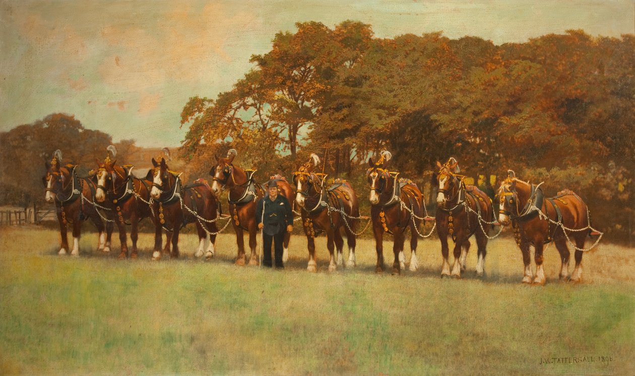 Shire Paarden, 1896 door James Weaver Tattersall