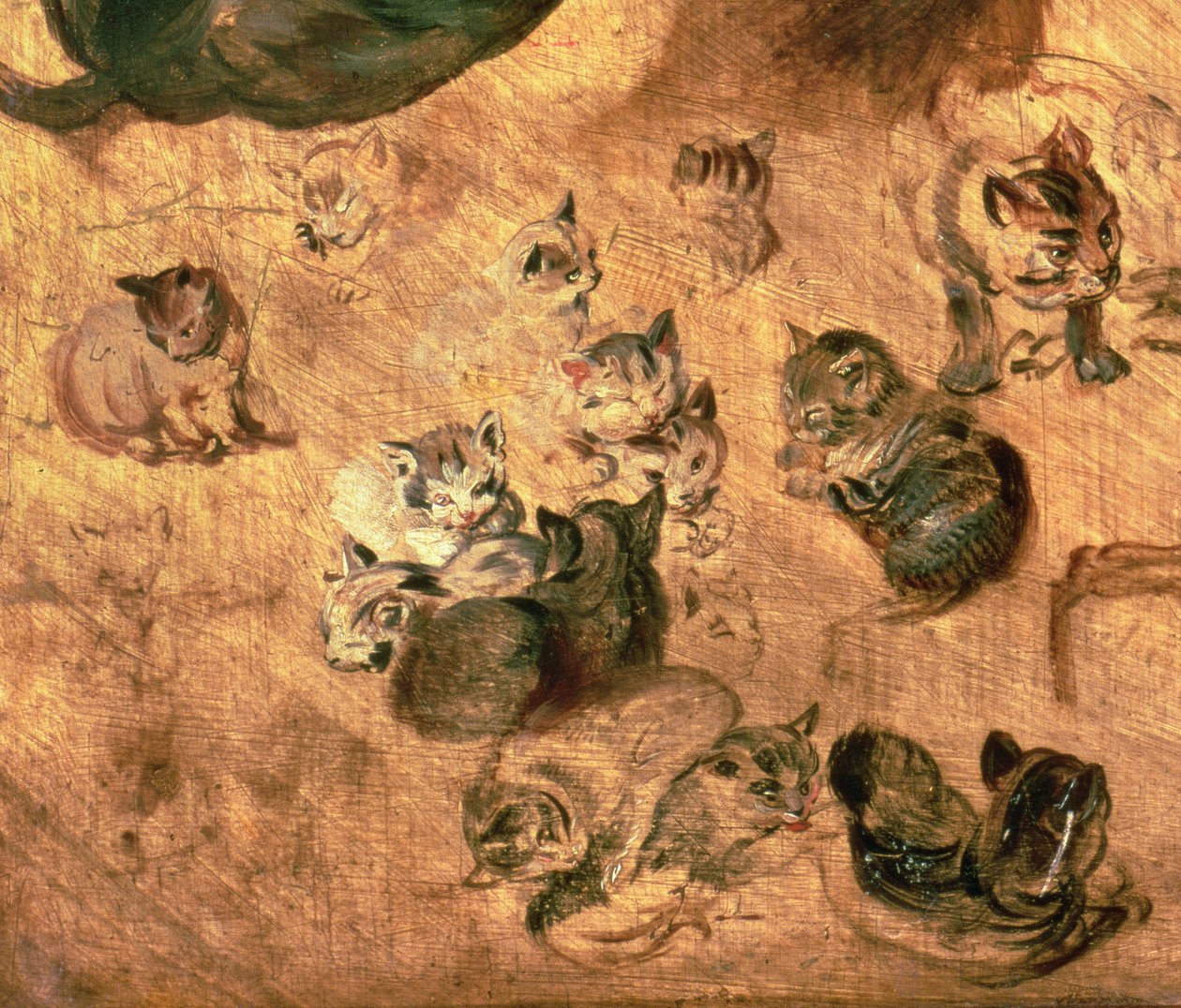 Studie van katten, 1616 (detail) door Jan the Elder Brueghel