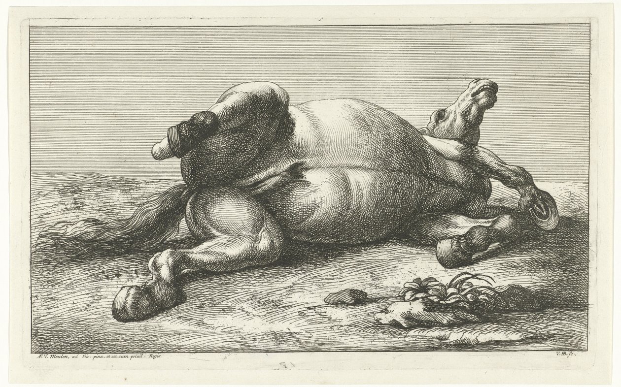Dode paarden in actie liggend op hun rug door Jan van Huchtenburgh  