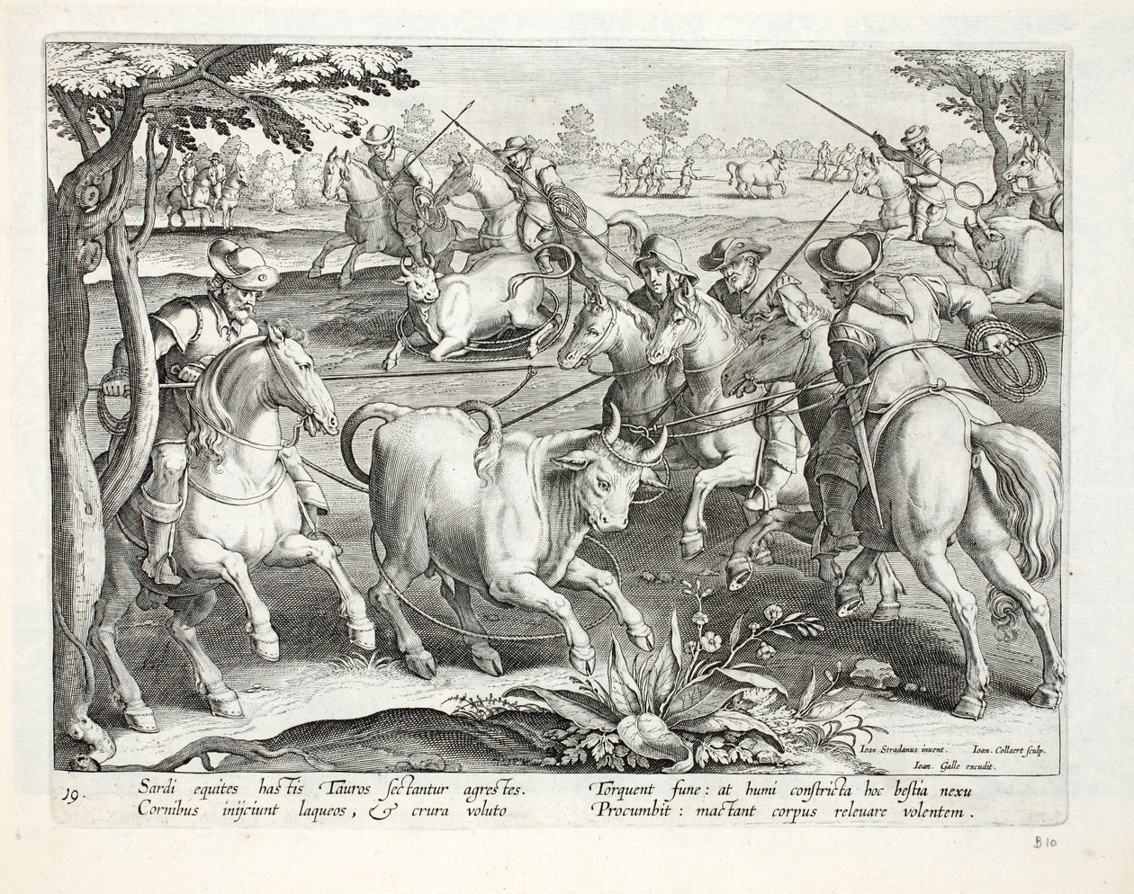 Sardijnse ruiters vangen stieren met touwen, illustratie uit 