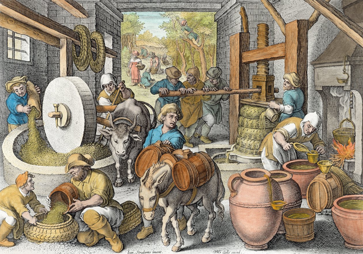 De productie van olijfolie, plaat 13 uit 