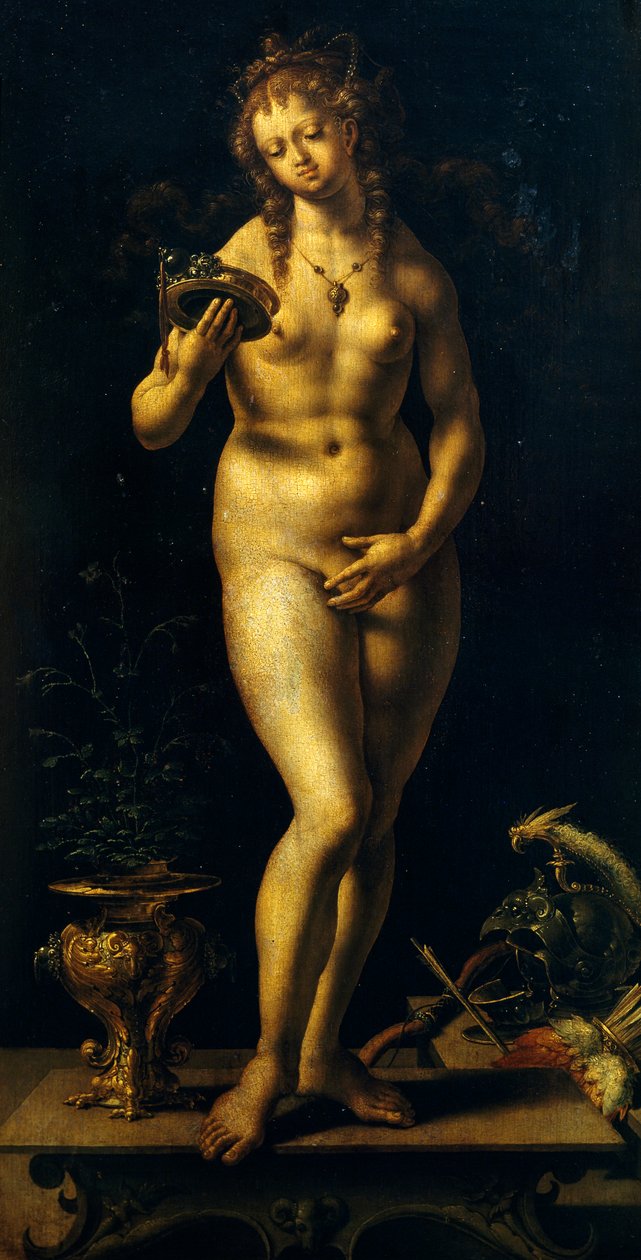 Venus door Jan (c.1472 c.1533) Gossaert