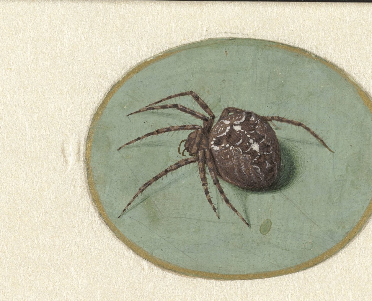 Spin door Jan Augustin van der Goes