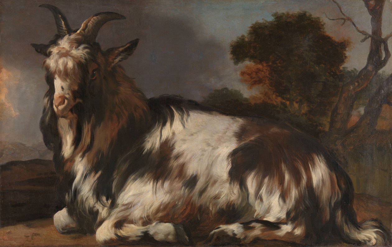 Liggende geit door Jan Baptist Weenix
