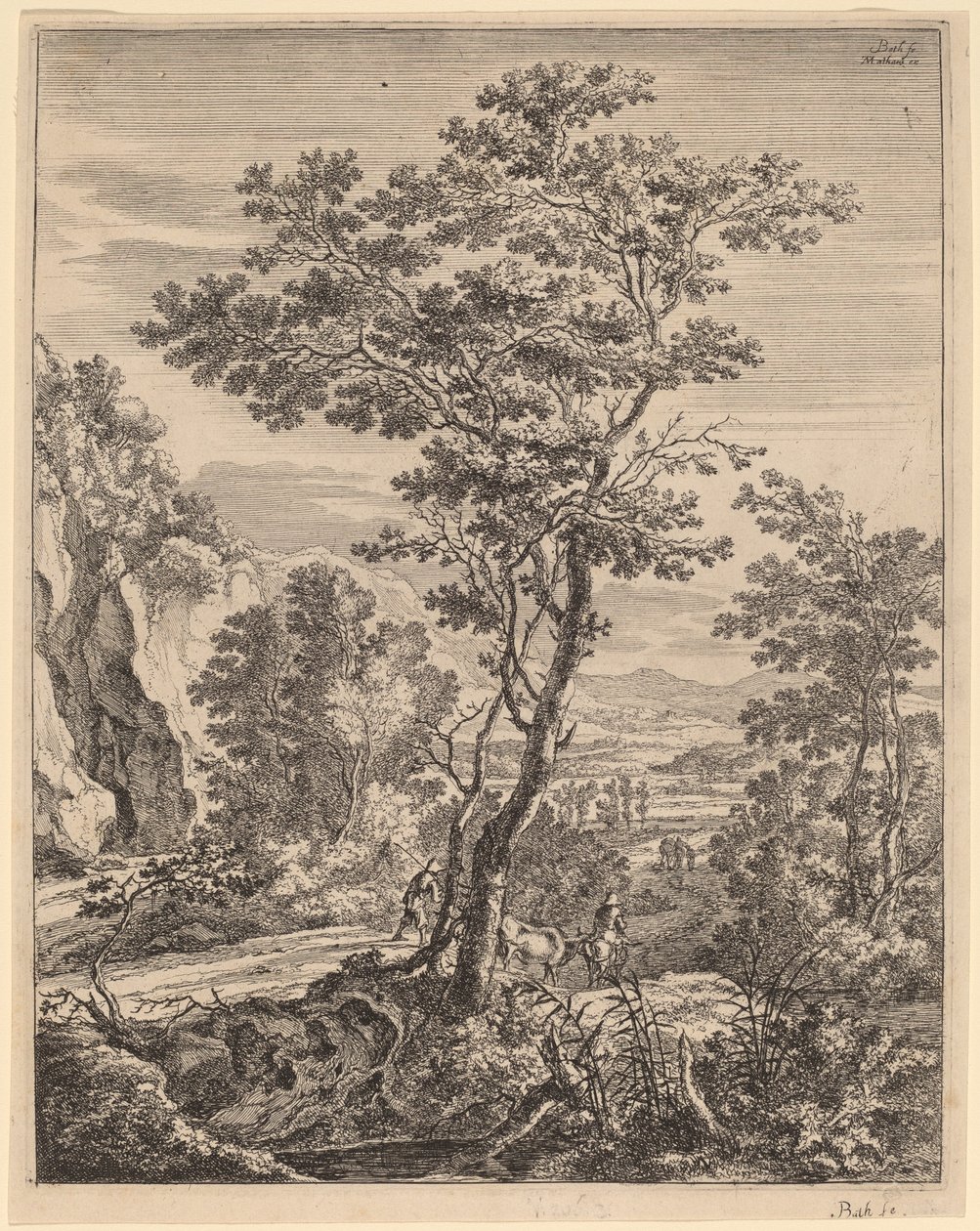 De grote boom door Jan Both