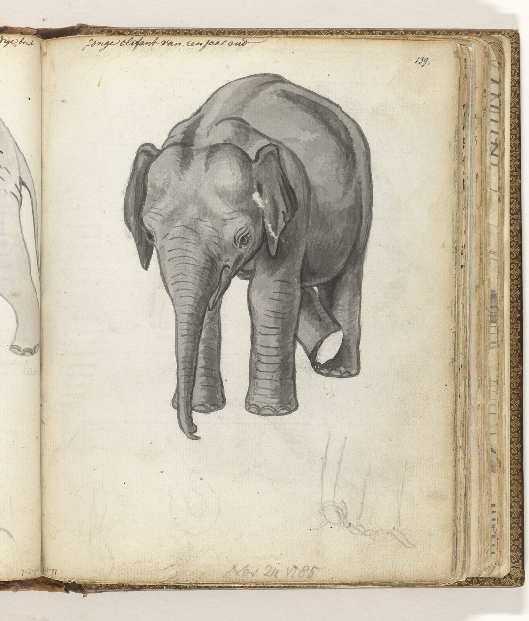 Jonge olifant door Jan Brandes