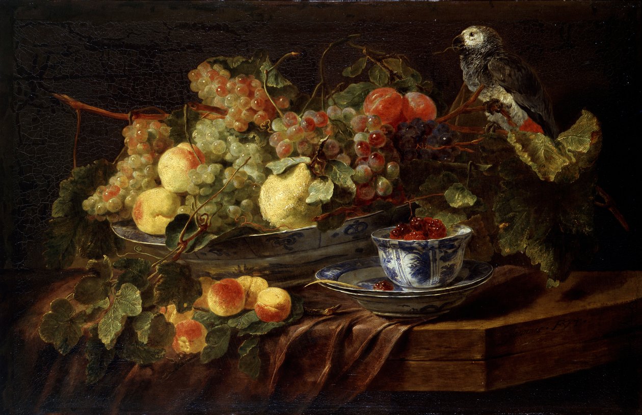 Stilleven met fruit en papegaai, 1645 door Jan Fyt