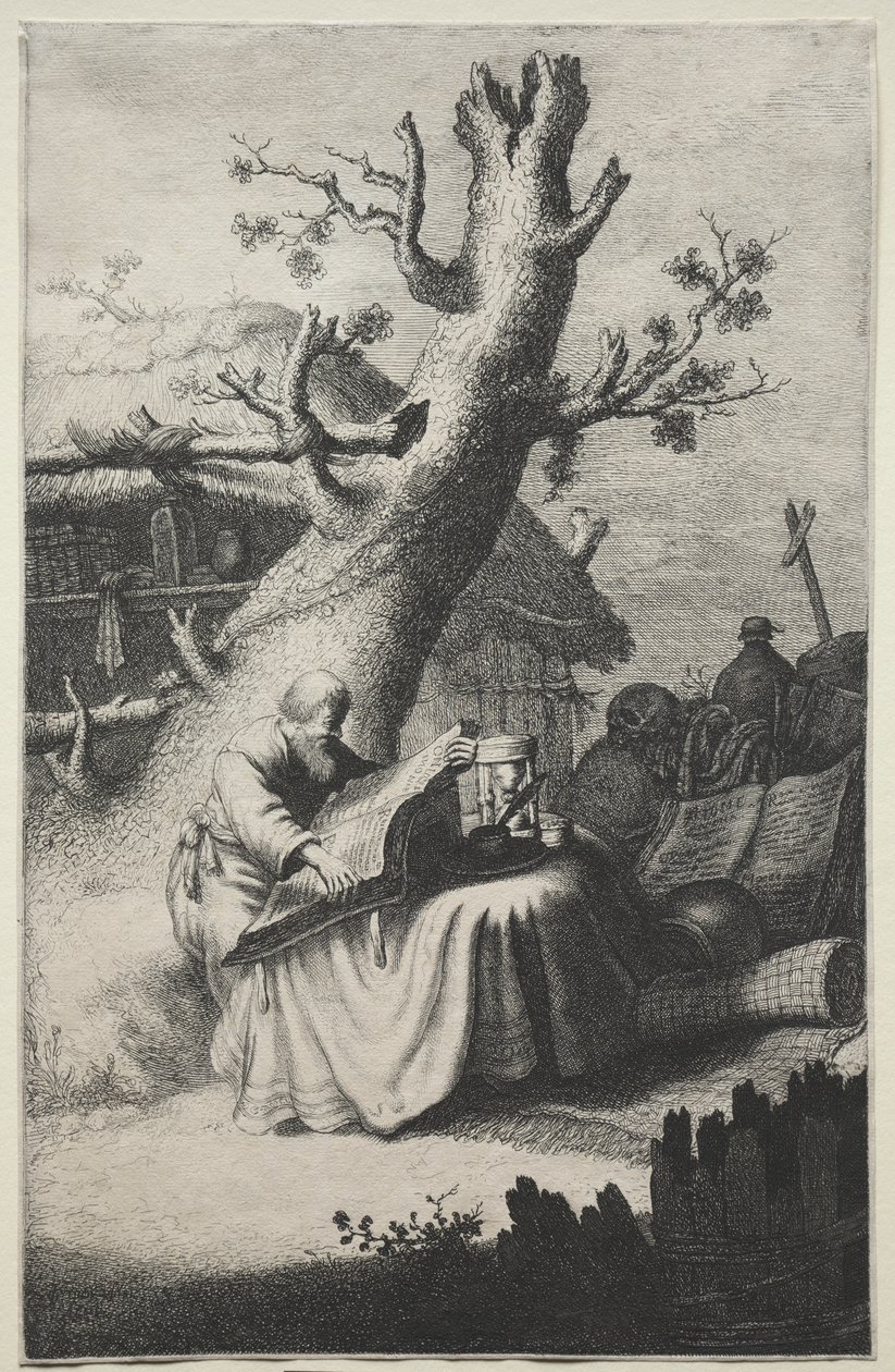 Sint Hiëronymus door Jan Georg van Vliet