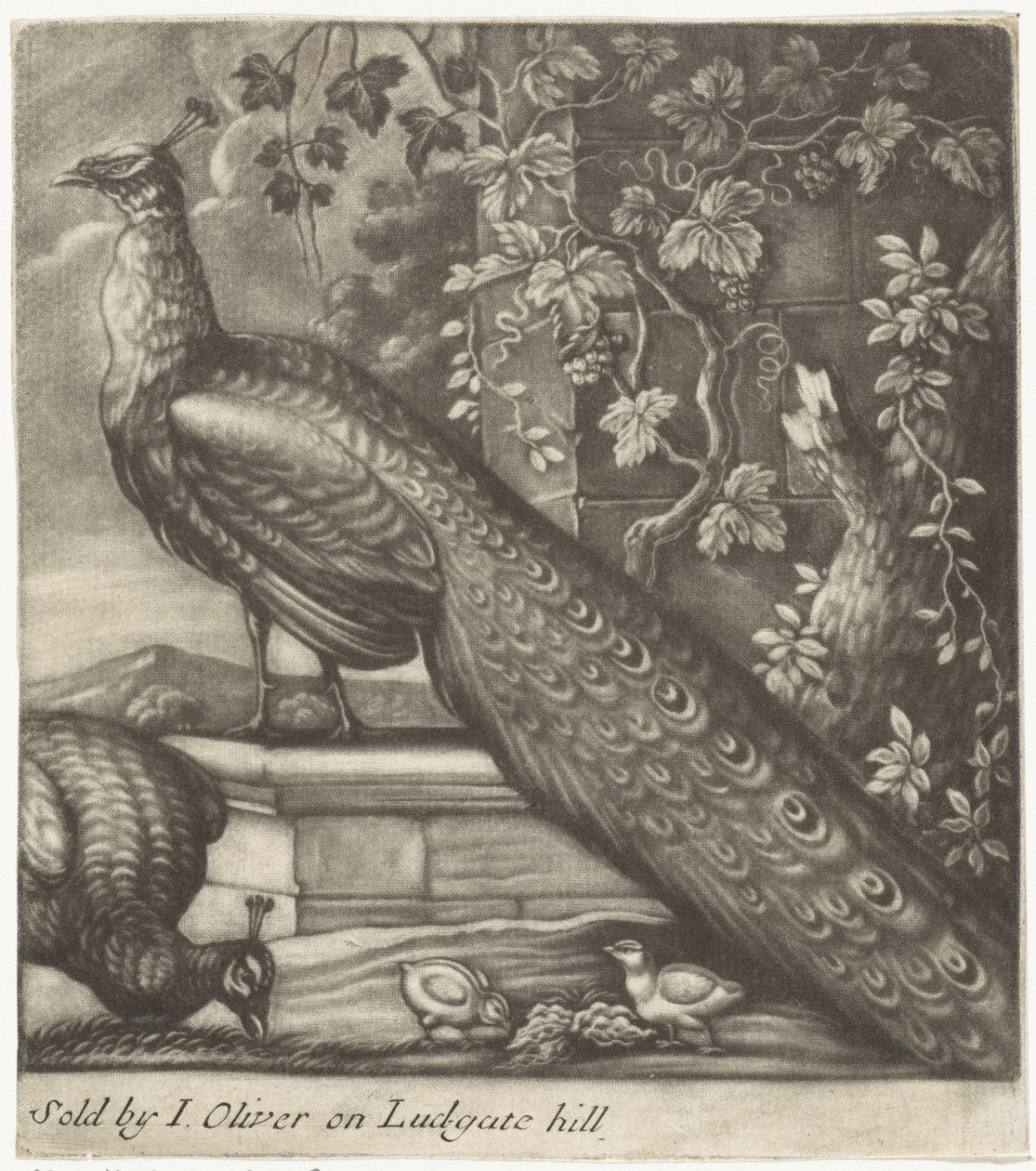 Pauwen door Jan Griffier (I)