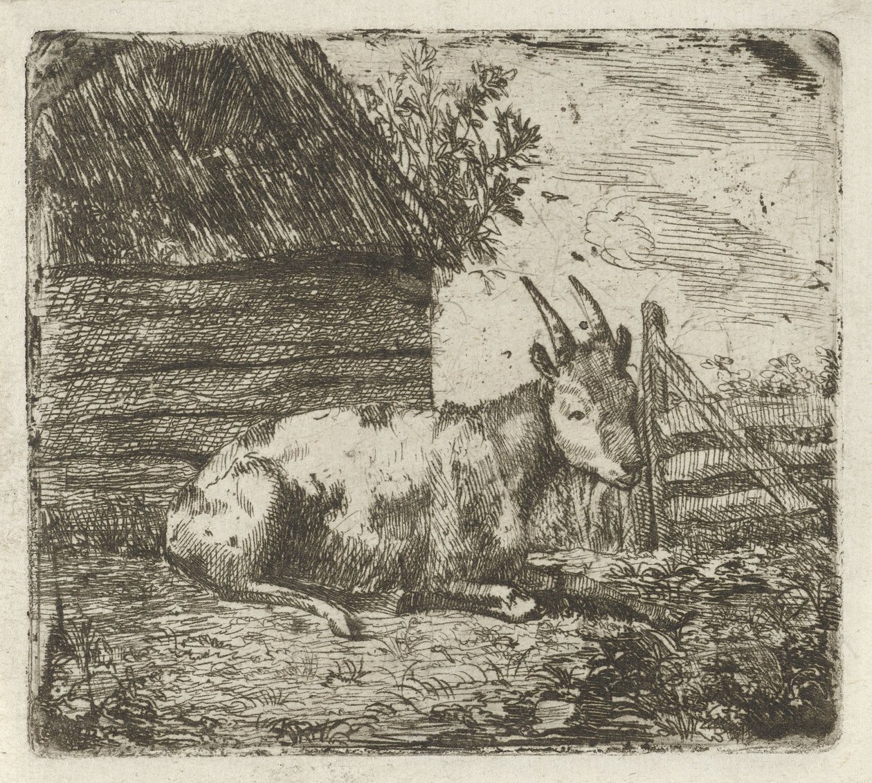 Bok bij een schuur door Jan Kobell (II)