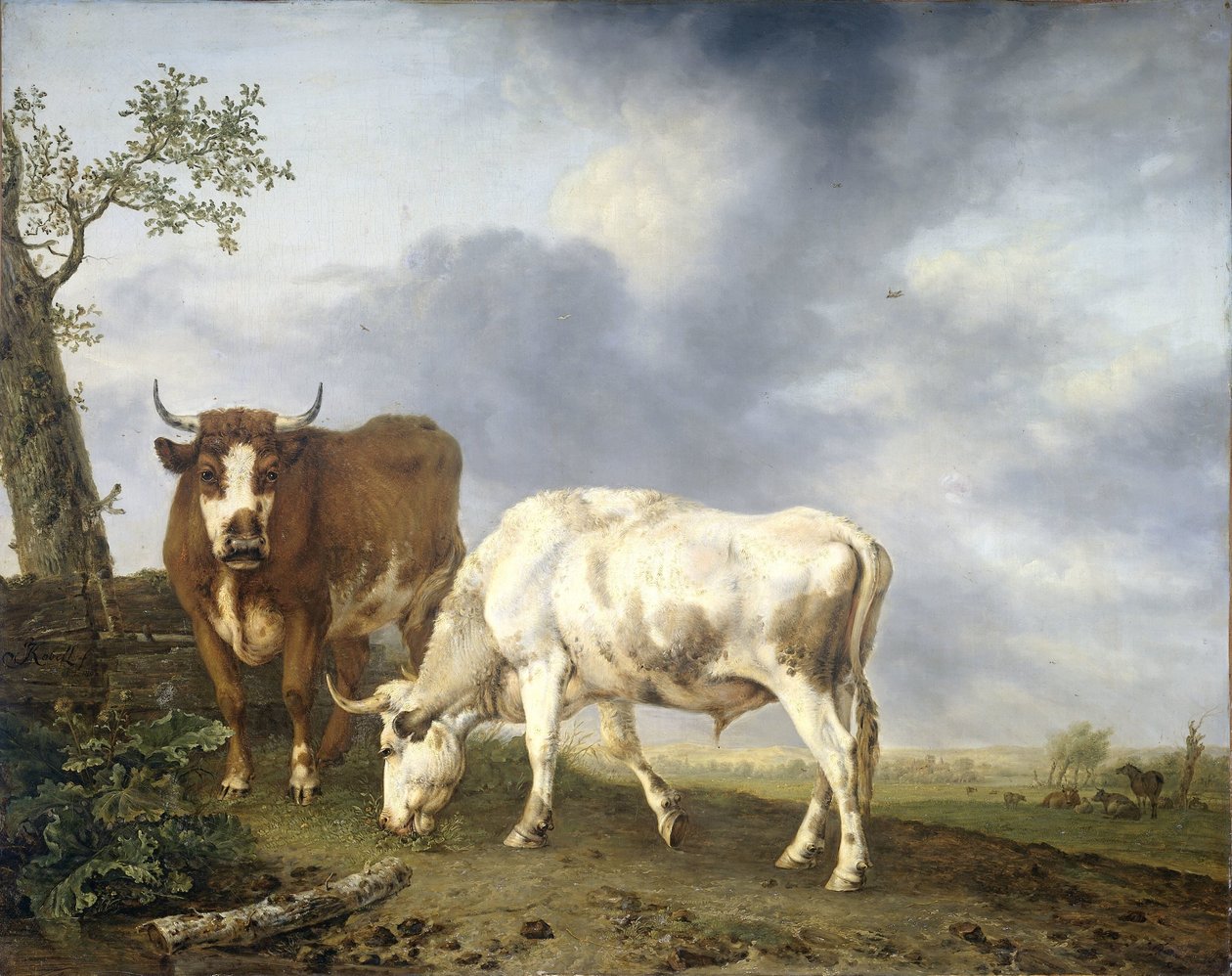 Ossen in de Weide door Jan Kobell (II)
