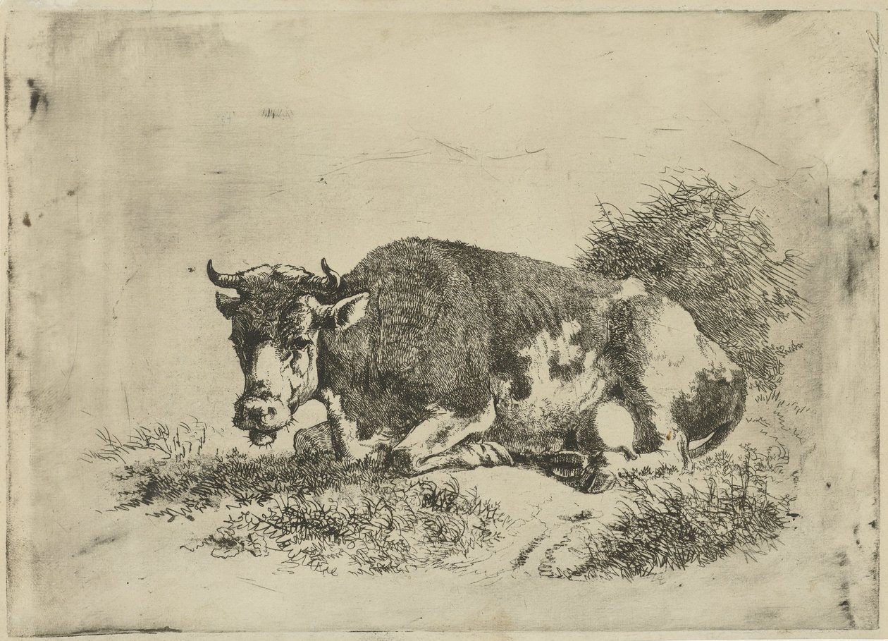 Liggende koe door Jan Kobell (III)