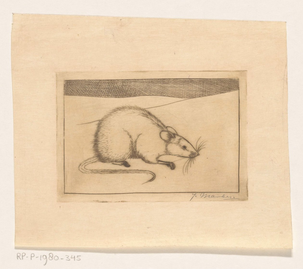 Muis door Jan Mankes (signed by artist)