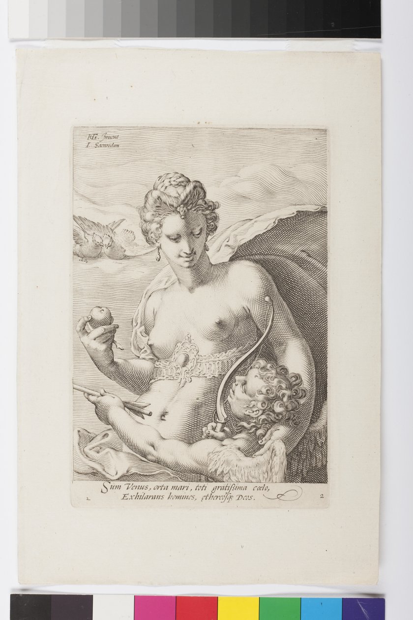 Venus door Jan Saenredam
