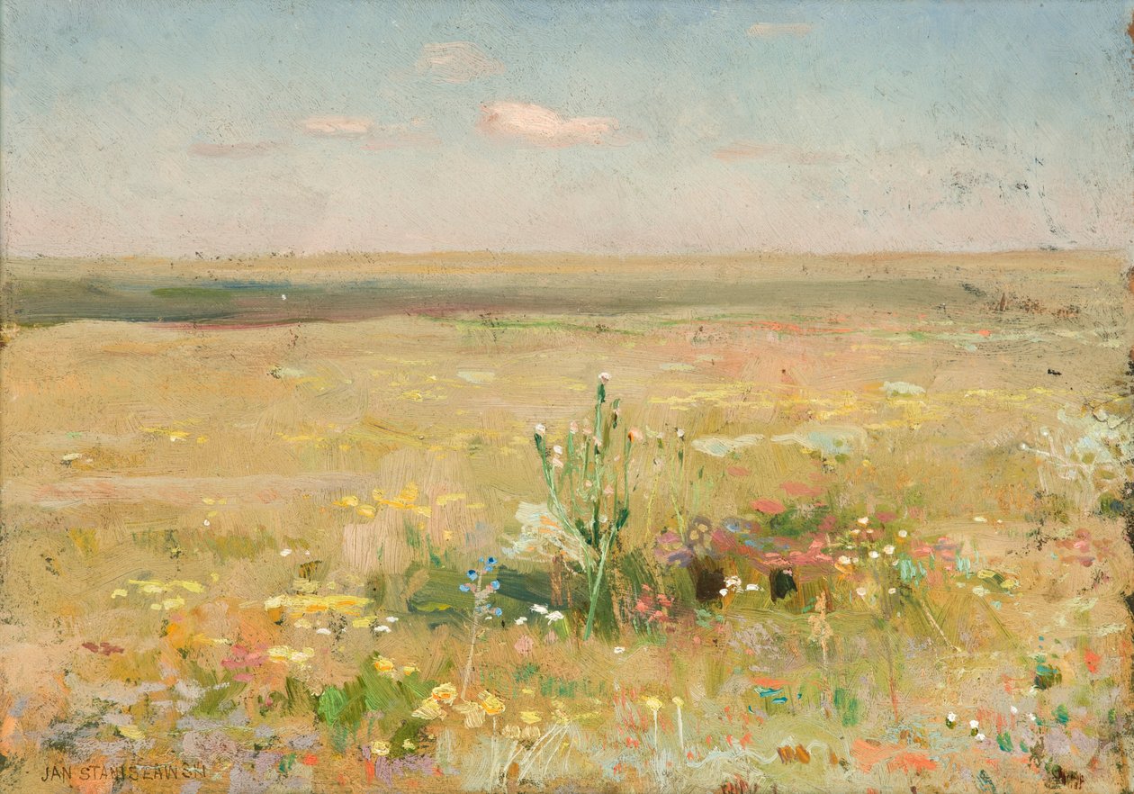 Steppe door Jan Stanislawski