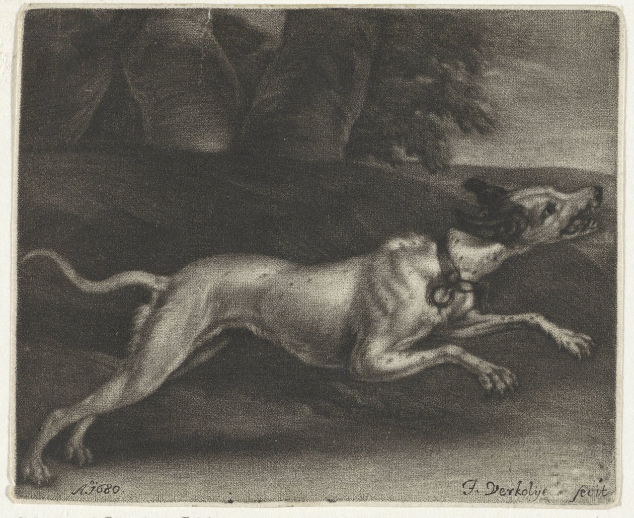 Rennende hond door Jan Verkolje (I)