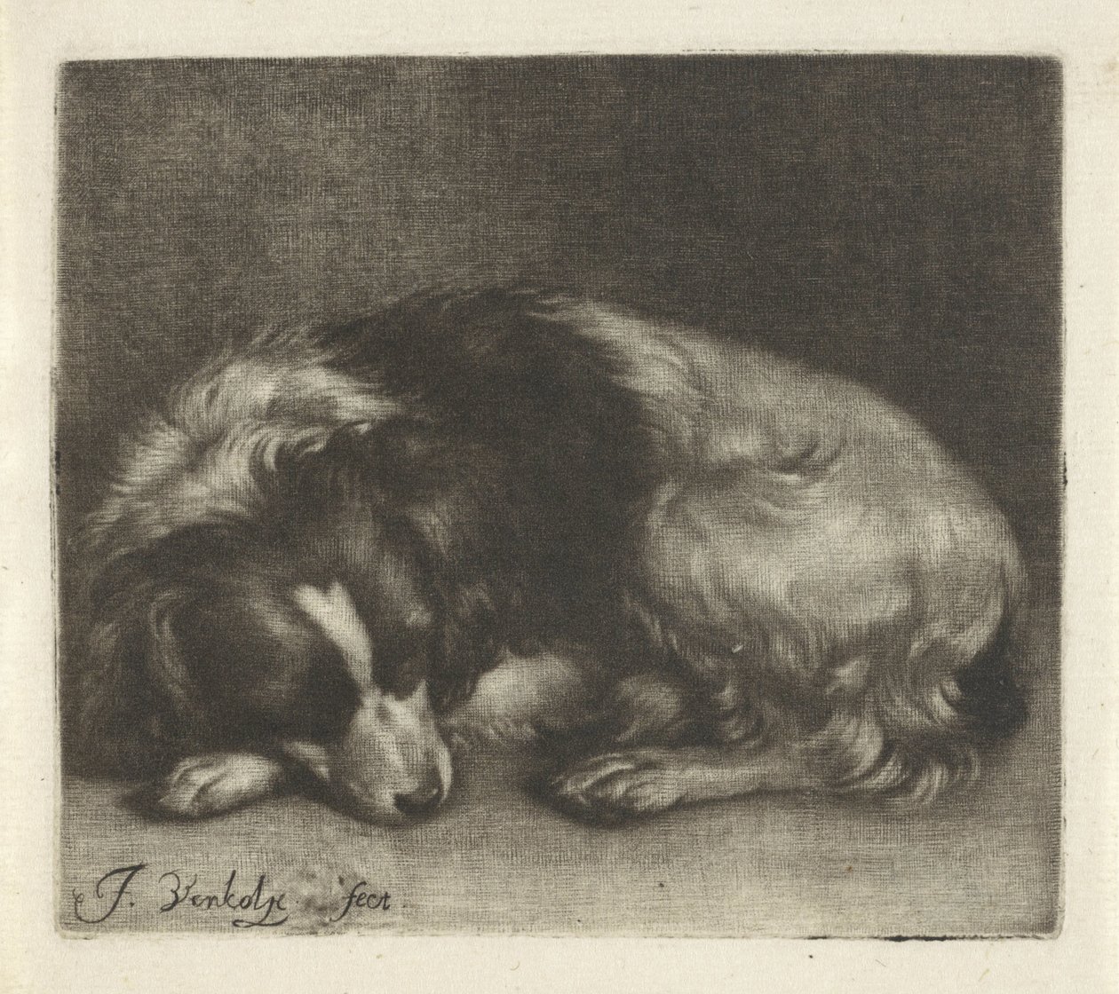 Slapende hond, mogelijk een spaniël door Jan Verkolje (I)