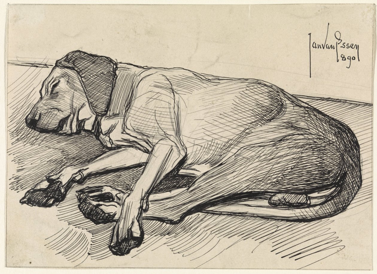 Slapende hond, naar links door Jan van Essen