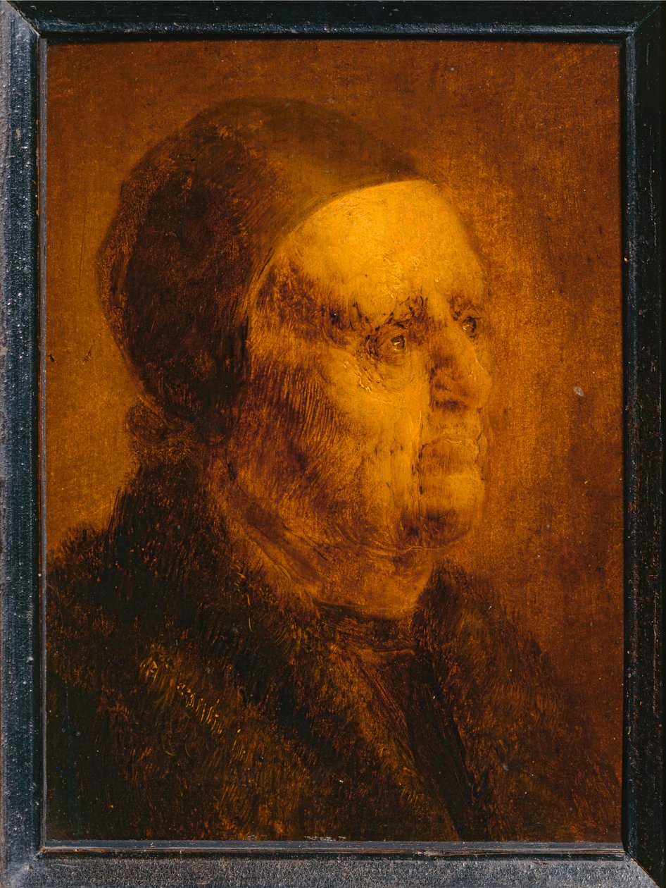 Studiehoofd van een oude man ... door Jan van de Venne