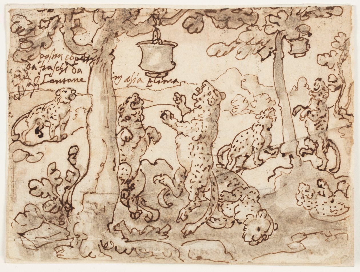 De pantherval door Jan van der Straet, called Stradanus