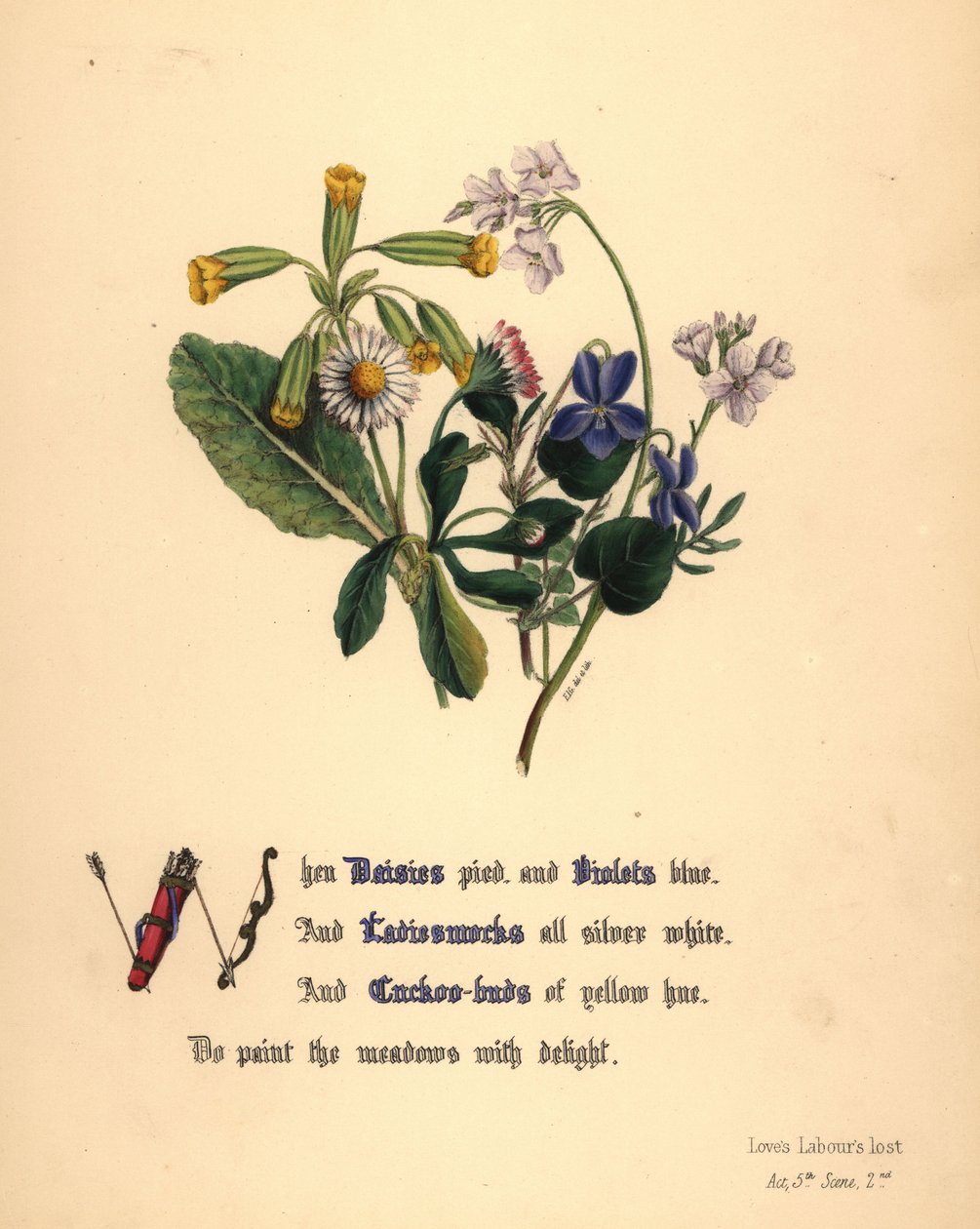 Madeliefjes, Viooltjes, Pinksterbloemen en Koekoeksbloemen door Jane Elizabeth Giraud