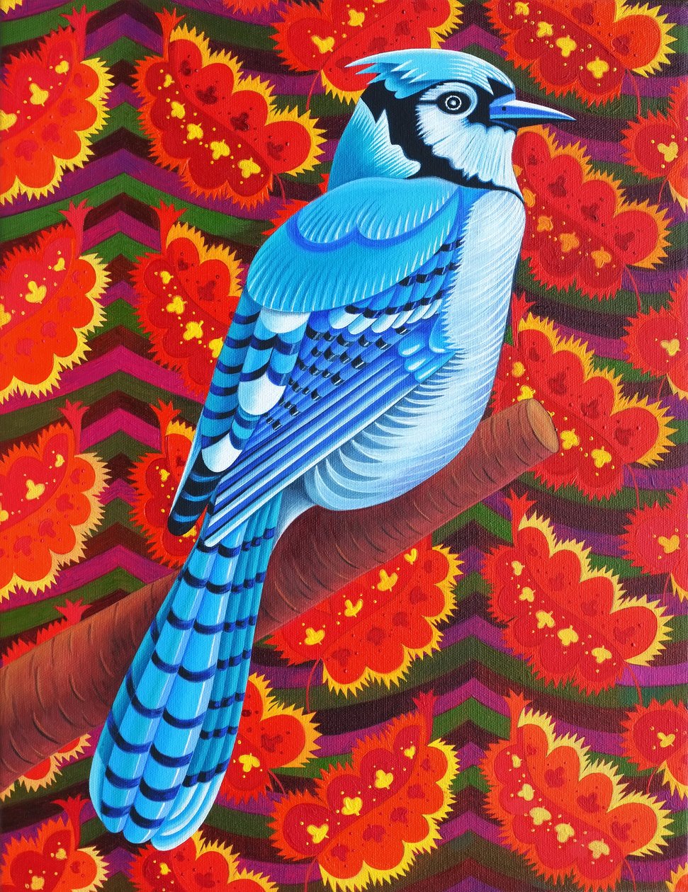 Blauwe Gaai, 2016 door Jane Tattersfield
